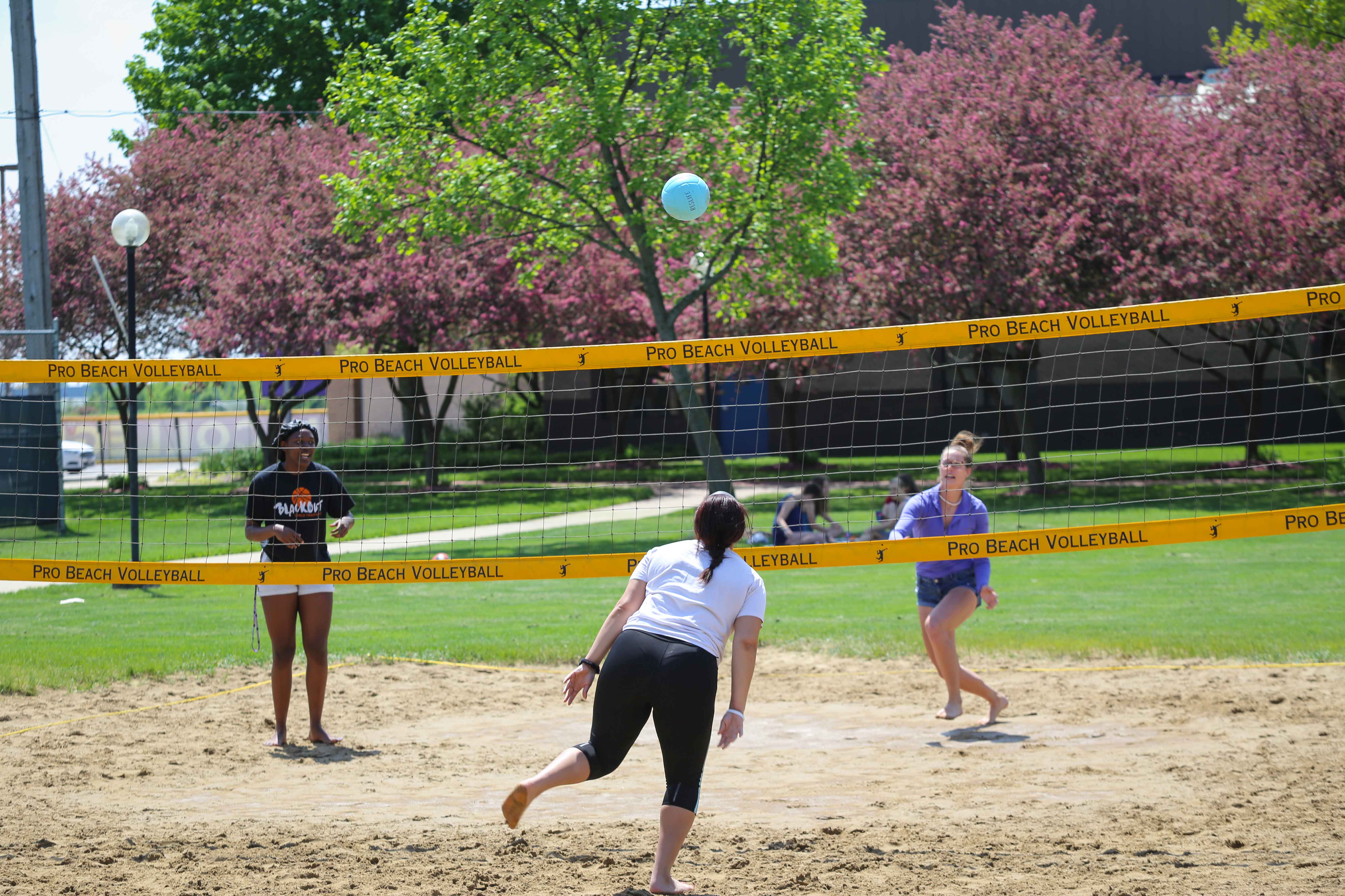 May term picnic and volleyball