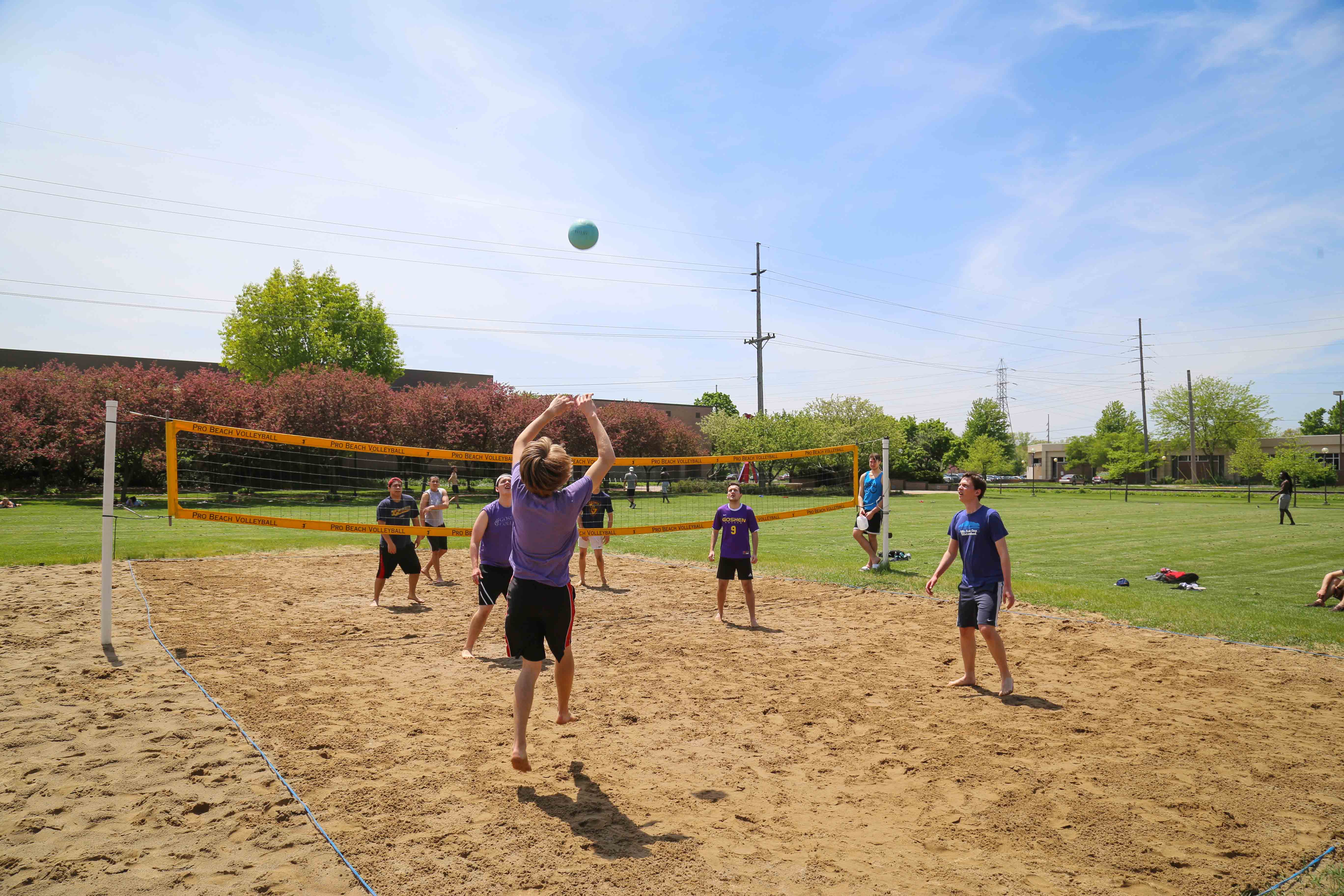 May term picnic and volleyball