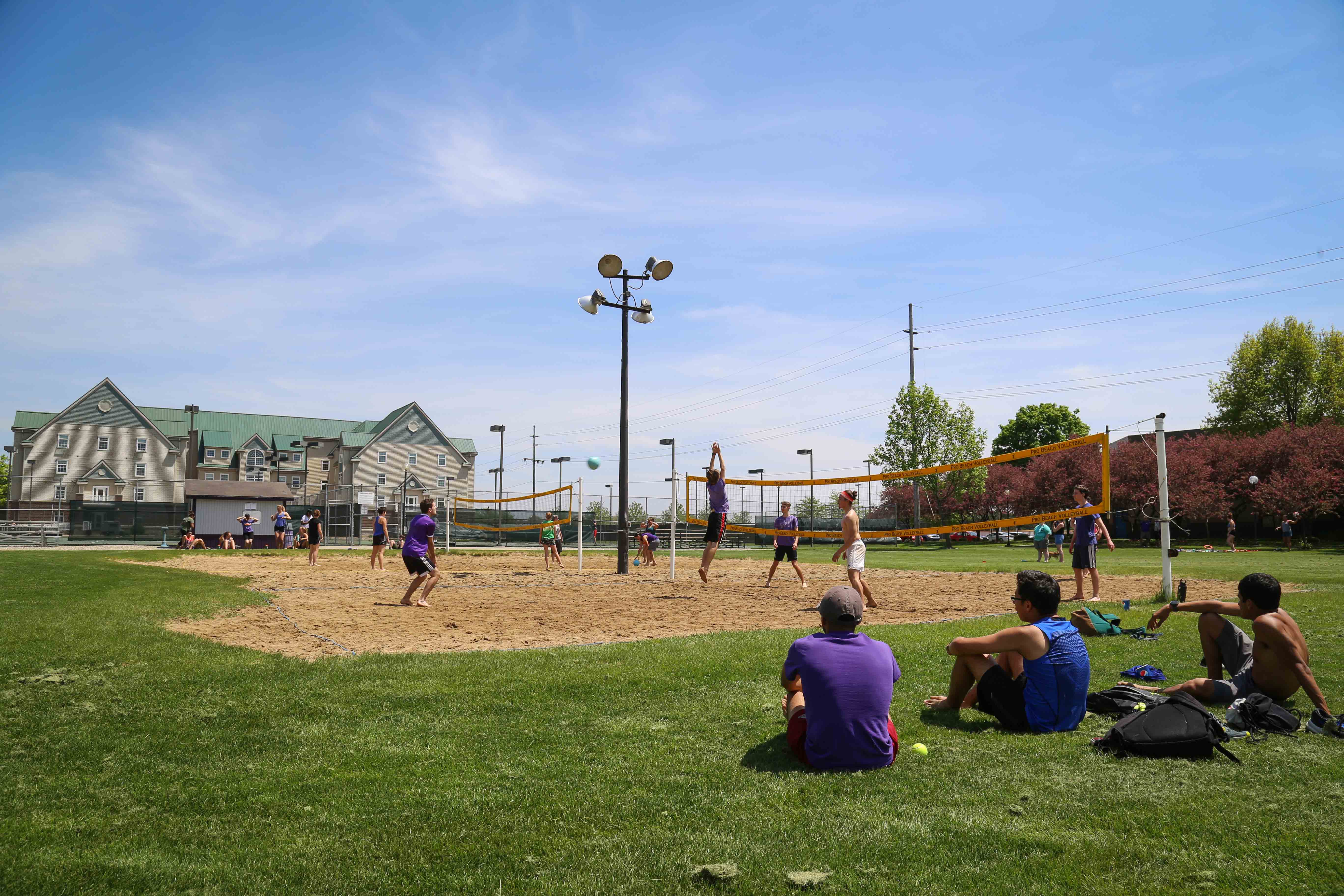 May term picnic and volleyball