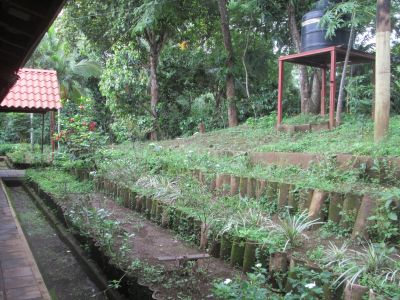 Some of the lush green work of ICIDRI