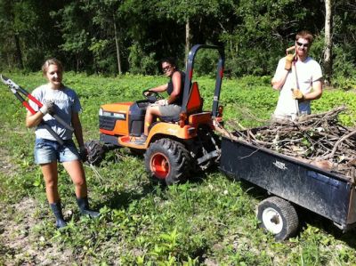 stump pickin