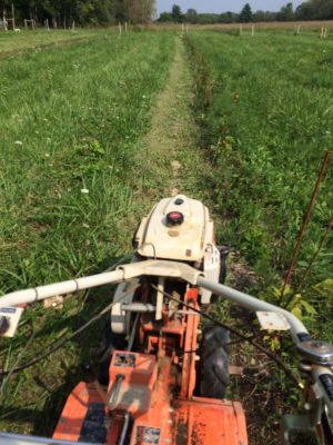 WPP rototilling