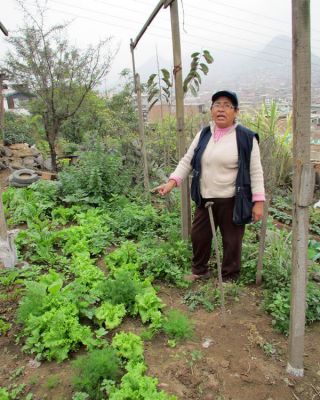 Señora Gregoria shows us the many plants thriving in her garden.