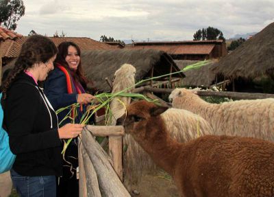 Jessica and Abbie feeding the llamas.