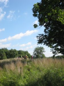 Orienteers will be hiking on the west side of Merry Lea’s property, which includes prairie areas and oak savanna.