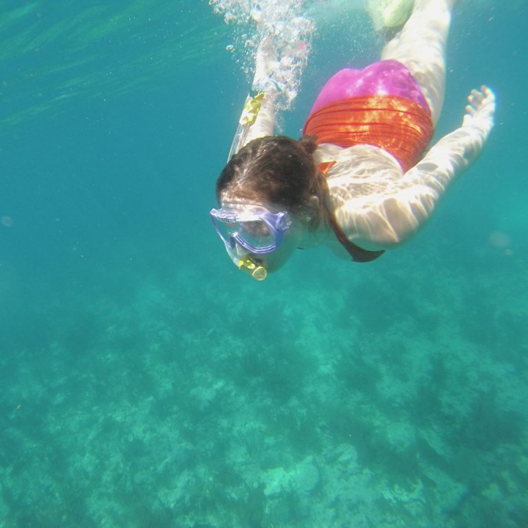 Marine biology